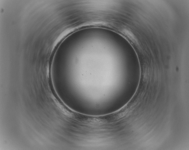 X0000089861420200706281239