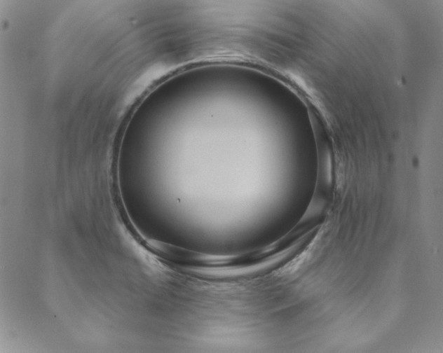 X0000089861422200706281239