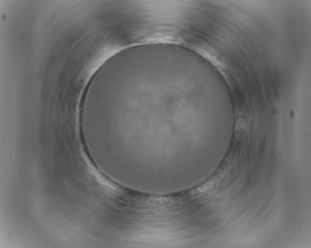 X0000089861423200706281239