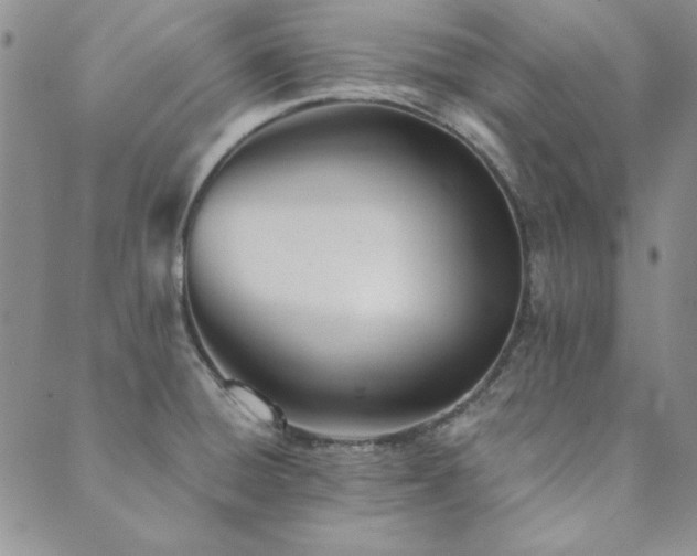 X0000089861428200706281239