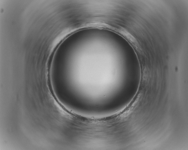 X0000089861430200706281240