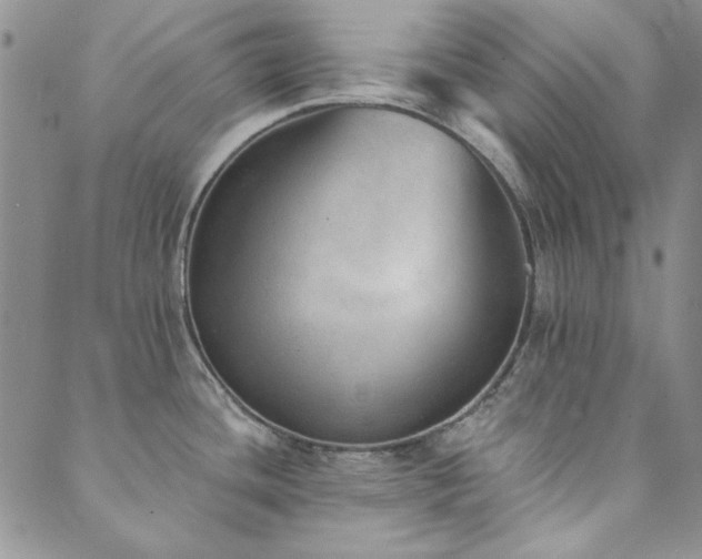 X0000089861436200706281240