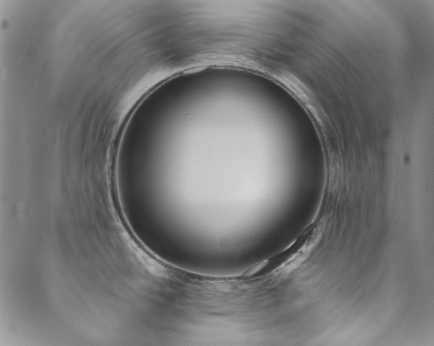 X0000089861438200706281240