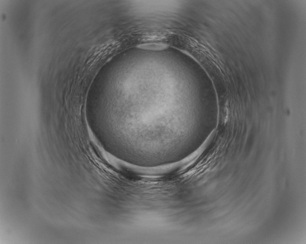 X0000089861441200706281239