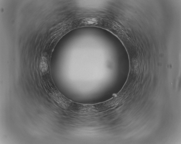 X0000089861442200706281239