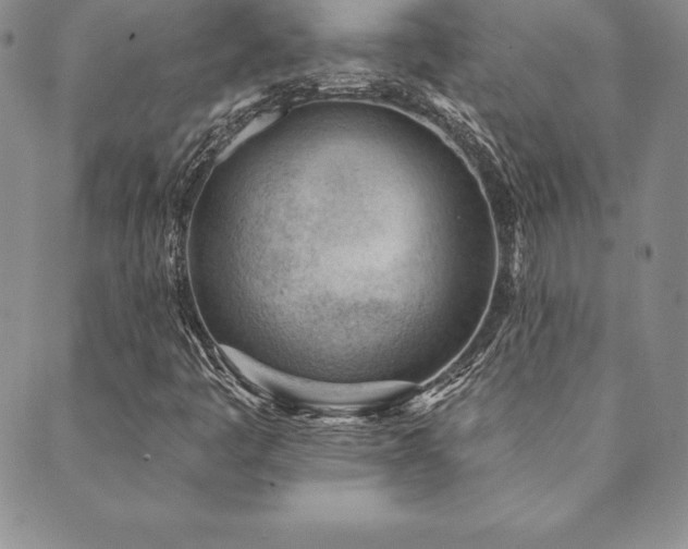 X0000089861445200706281239