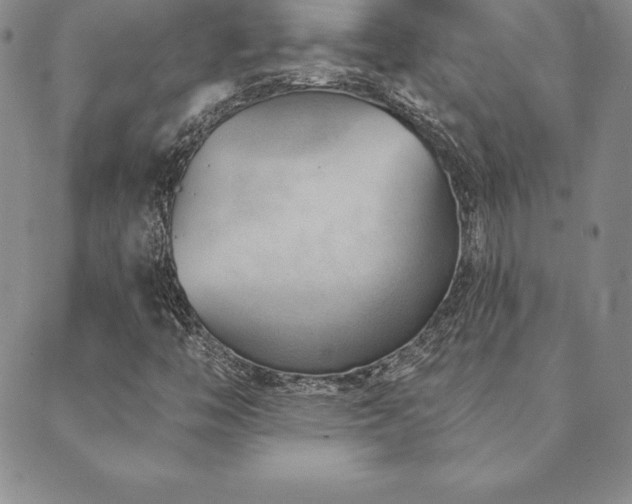 X0000089861446200706281239