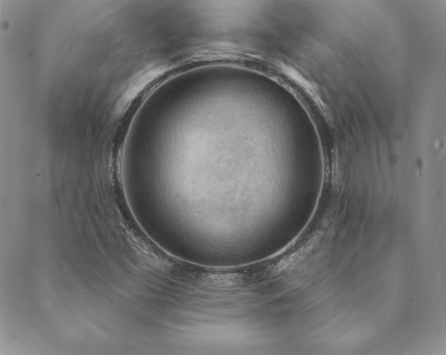 X0000089861453200706281239
