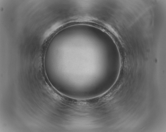 X0000089861456200706281239