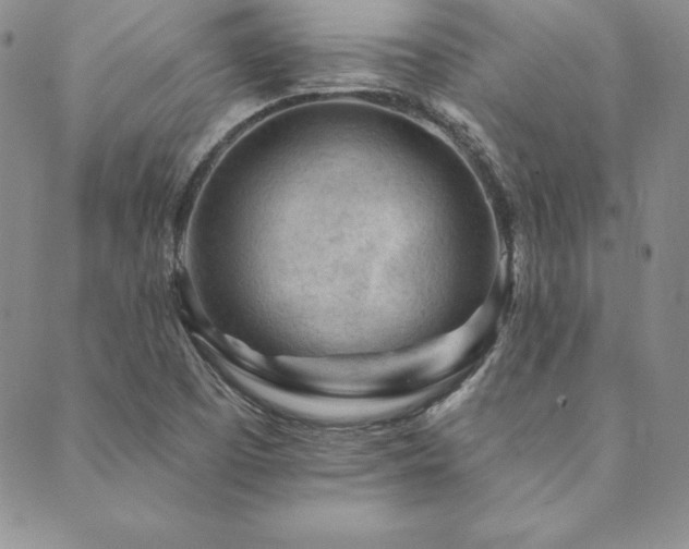 X0000089861457200706281239