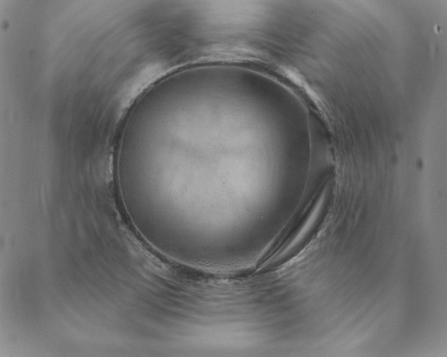 X0000089861459200706281239