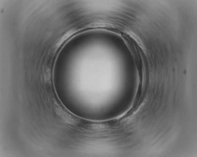 X0000089861465200706281239