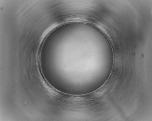 X0000089861474200706281238