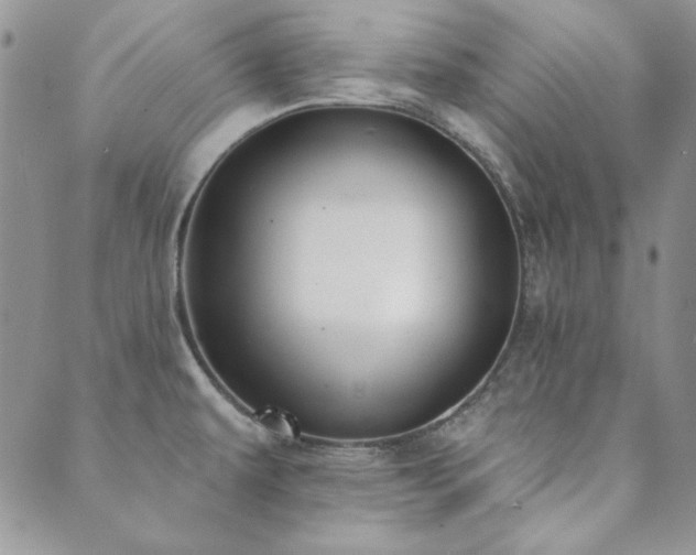 X0000089861479200706281238