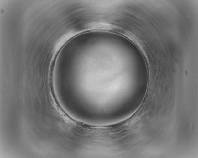 X0000089861488200706281238