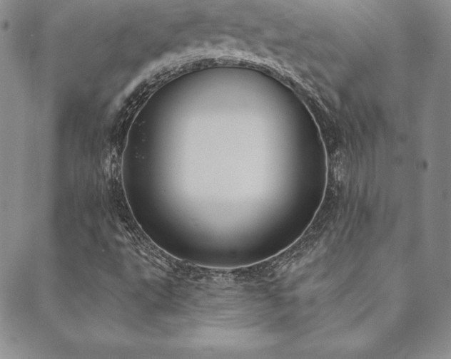 X0000089861495200706281237