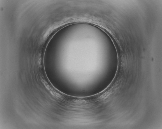 X0000089861499200706281238