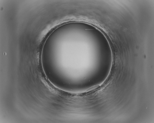 X0000089861503200706281238