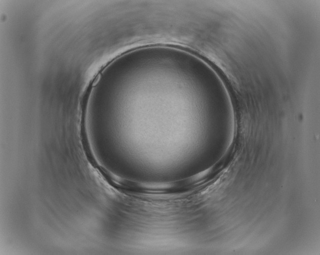 X0000089861508200706281238