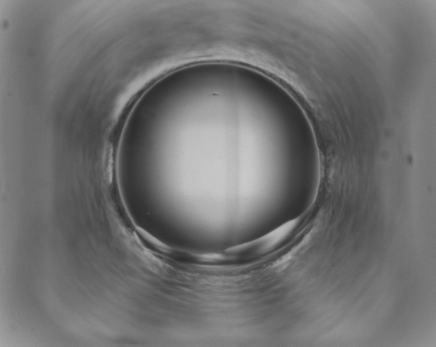 X0000089861510200706281238