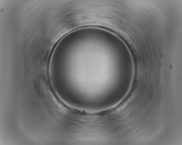 X0000089861513200706281238