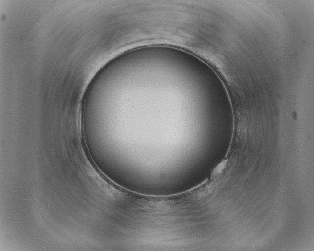 X0000089861516200706281238