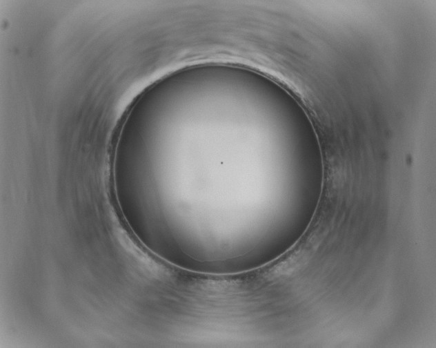 X0000089861518200706281238