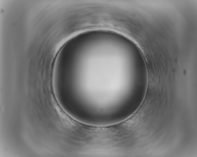 X0000089861534200706281238