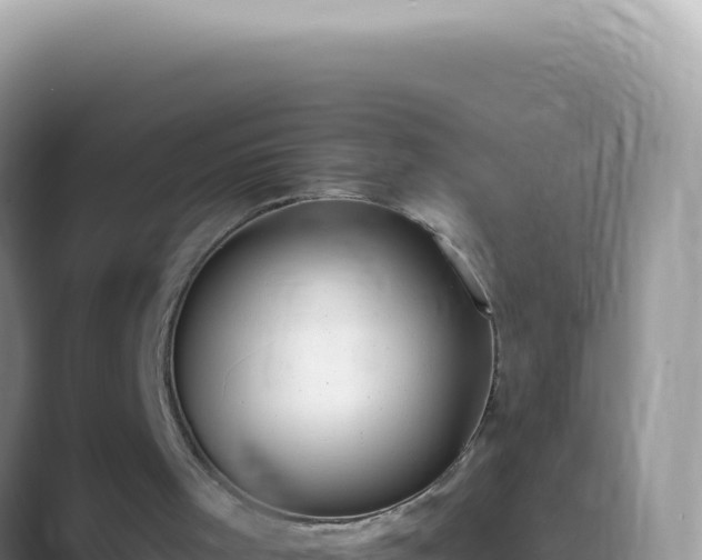 X0000089860001200707051142