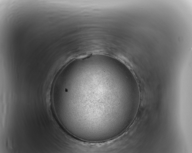 X0000089860002200707051142