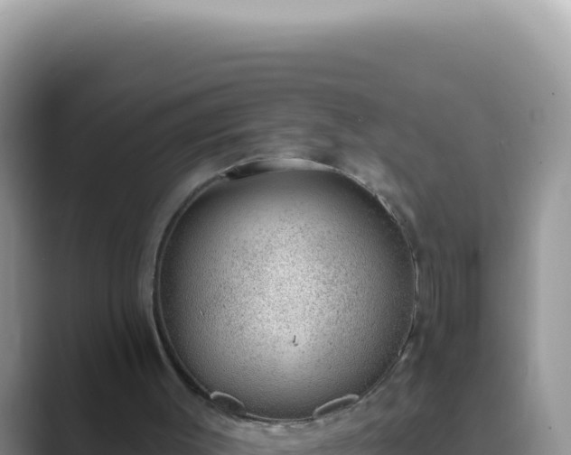 X0000089860003200707051142