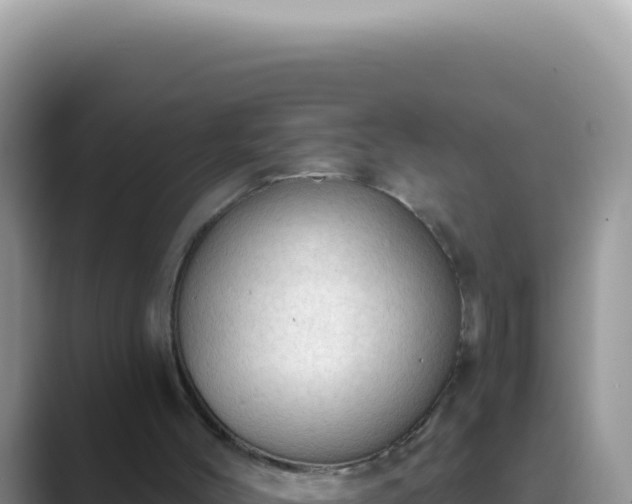 X0000089860004200707051142