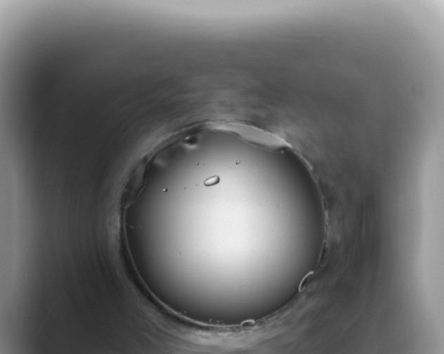 X0000089860005200707051142