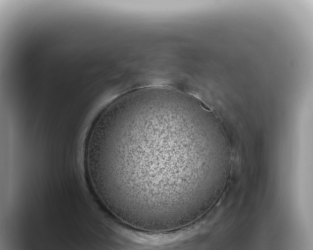 X0000089860006200707051142