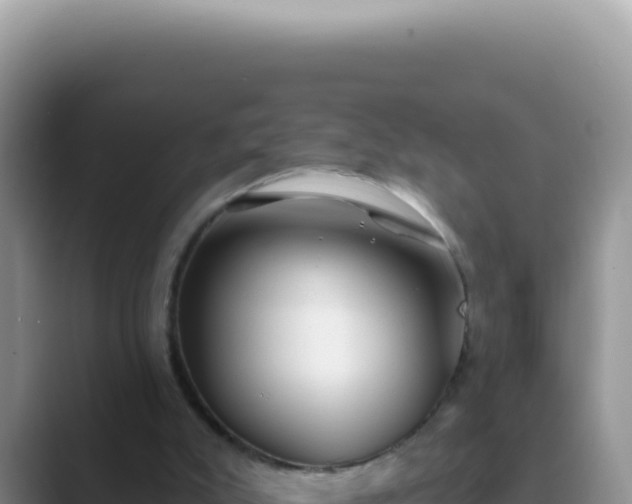 X0000089860007200707051141