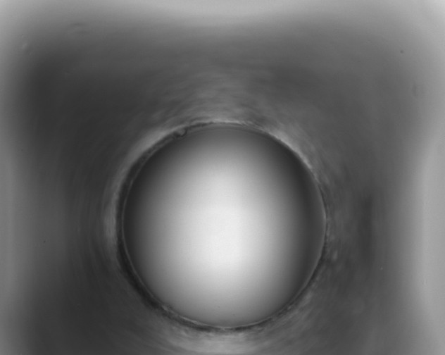 X0000089860008200707051141