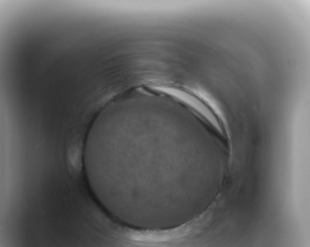 X0000089860009200707051141