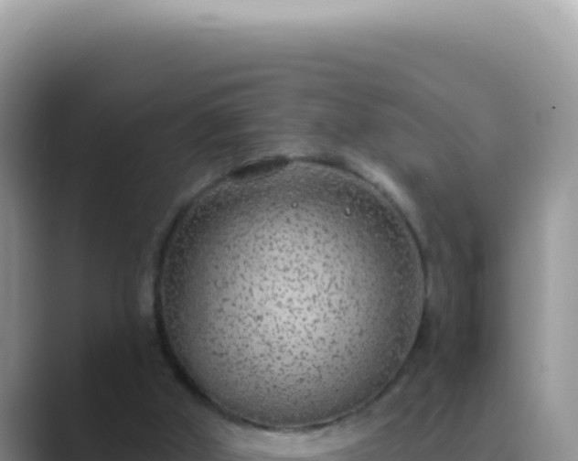 X0000089860010200707051141