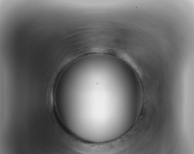 X0000089860011200707051141