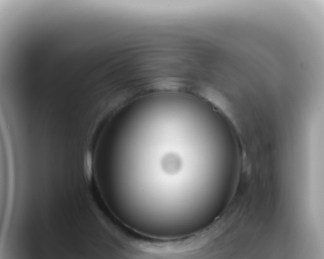 X0000089860013200707051141