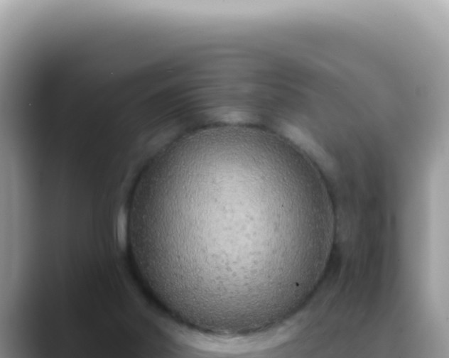 X0000089860014200707051141