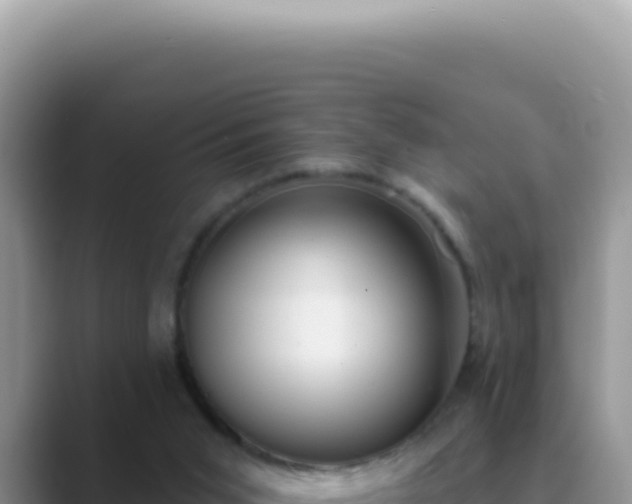 X0000089860015200707051141