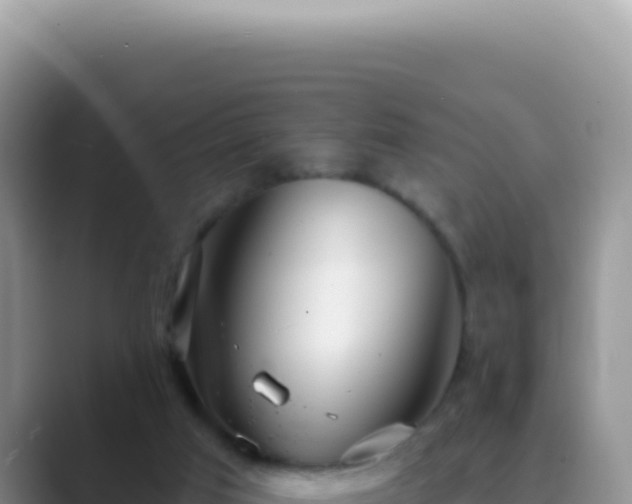 X0000089860017200707051141