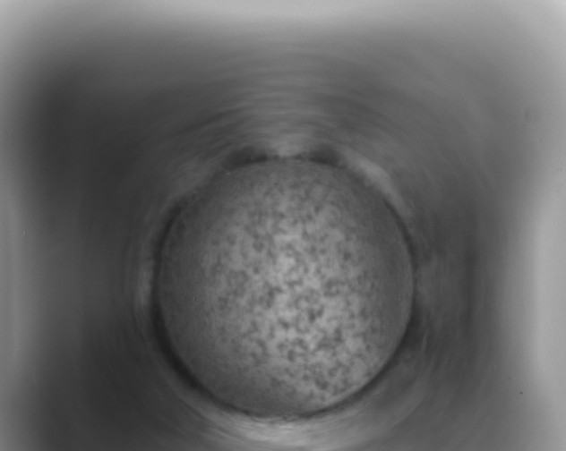 X0000089860018200707051141
