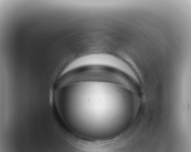 X0000089860019200707051141