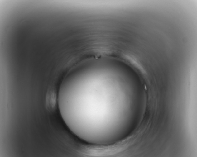 X0000089860021200707051141