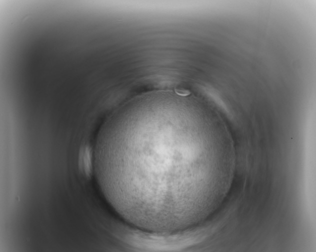 X0000089860022200707051141