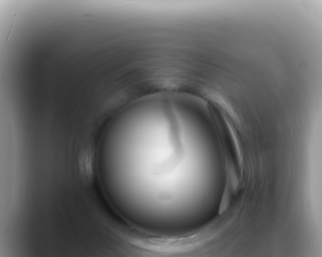 X0000089860023200707051141