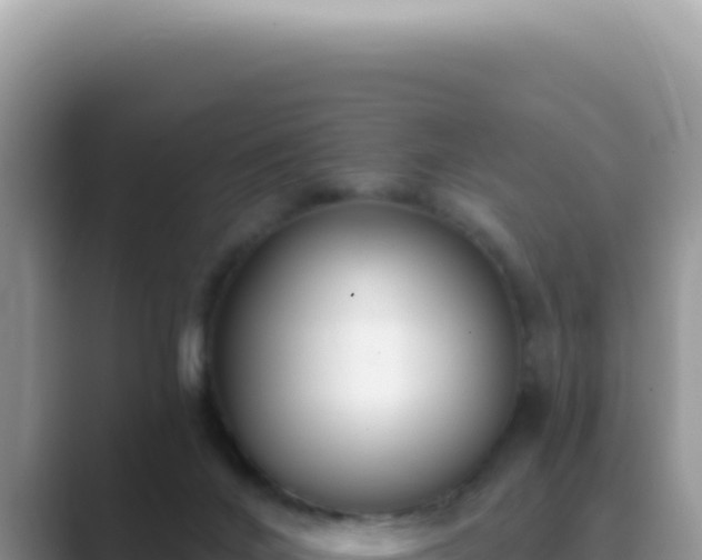 X0000089860024200707051141