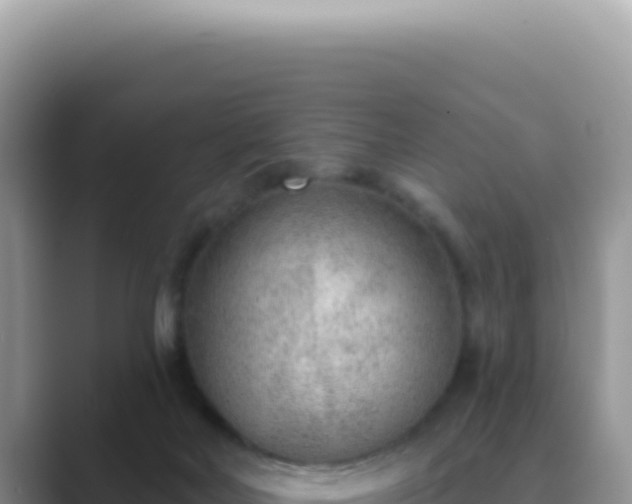 X0000089860026200707051141